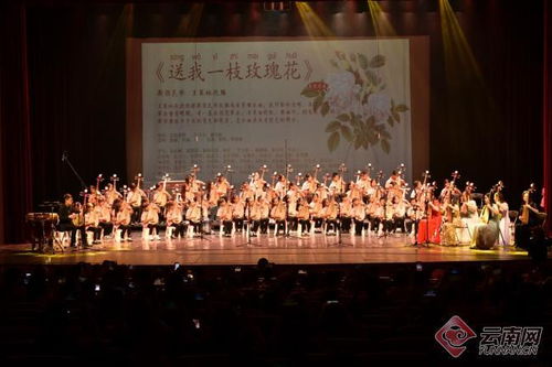 花韻琵琶傳雅韻，彩云之南奏華章——首屆彩云花韻琵琶文化藝術周系列活動圓滿落幕