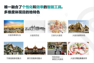 定制游公司的競爭策略 旅游企業(yè)的軟硬件配置解析