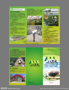 農業(yè)產品融合旅游 開啟田園體驗新篇章